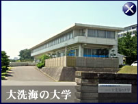 大洗海の大学